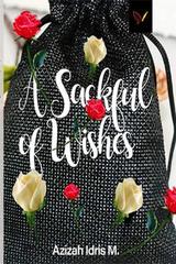 A Sackful of Wishes cover